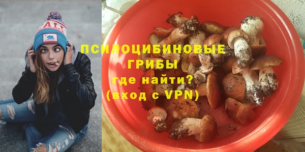 2c-b Покачи