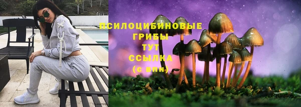 2c-b Покачи